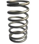 Special material spring